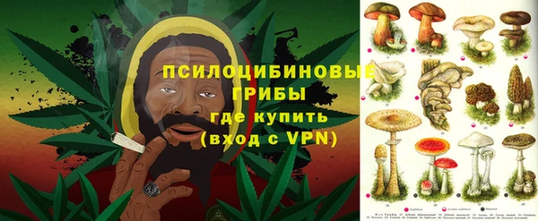 apvp Балахна